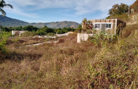 TERRENO EN FRACC. LOMAS DEL NARANJO