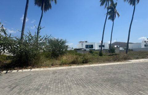 TERRENOS EN RESIDENCIAL LA HIGUERA