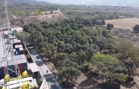 PARCELA 83, EN VENTA CARRETERA LIBRE A JALIPA